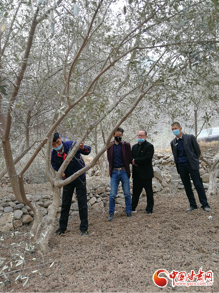 【甘肅全民戰(zhàn)“疫”】防疫“不下”生產(chǎn)線(xiàn)“青果果”培育正當(dāng)時(shí)