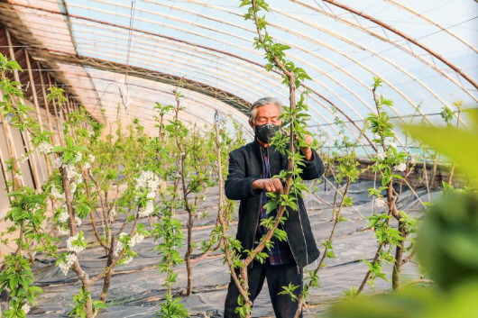 銅城復(fù)蘇：春光明媚，邀你共賞芳華（組圖）