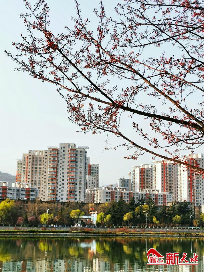 春天，古城天水的十個(gè)美麗瞬間