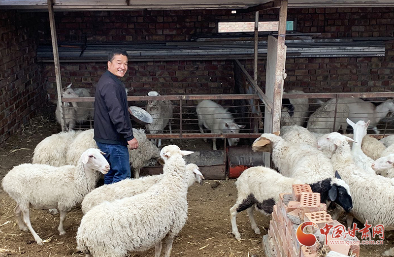 【甘肅省決戰(zhàn)決勝脫貧攻堅(jiān)】張玉榮：從貧困戶(hù)到脫貧典型的“蛻變”（圖）