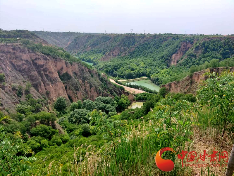 【美麗中國 生態(tài)甘肅】慶陽西峰區(qū)清水溝：固溝保塬 生機盎然（圖）