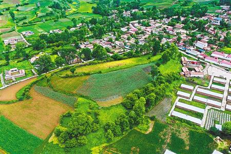 【溫暖的回響 滄桑巨變 飲水思源】這條路，通往幸福