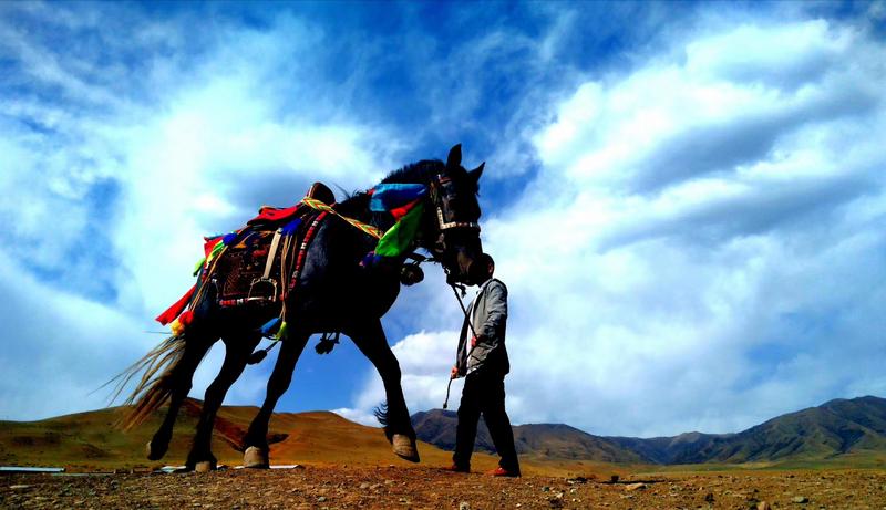 好消息！天祝被命名為“中國(guó)高原走馬之鄉(xiāng)”