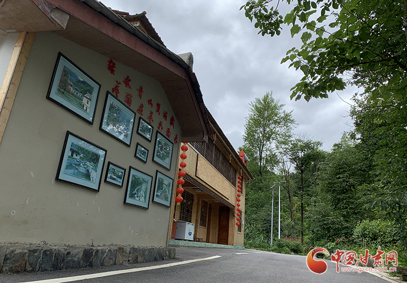 【走向我們的小康生活】村美、業(yè)興、民富……康縣何家莊描繪鄉(xiāng)村振興新畫卷（圖）