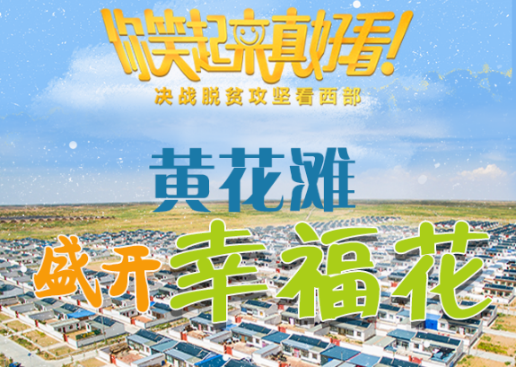 【你笑起來真好看】黃花灘盛開幸?；ǎ▓D解）