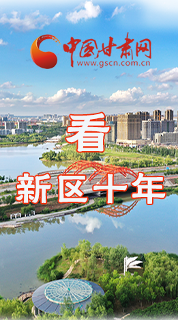 圖解|崛起！新區(qū)十年