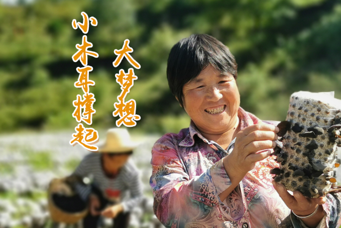 海報丨他們，乘“豐”破浪！