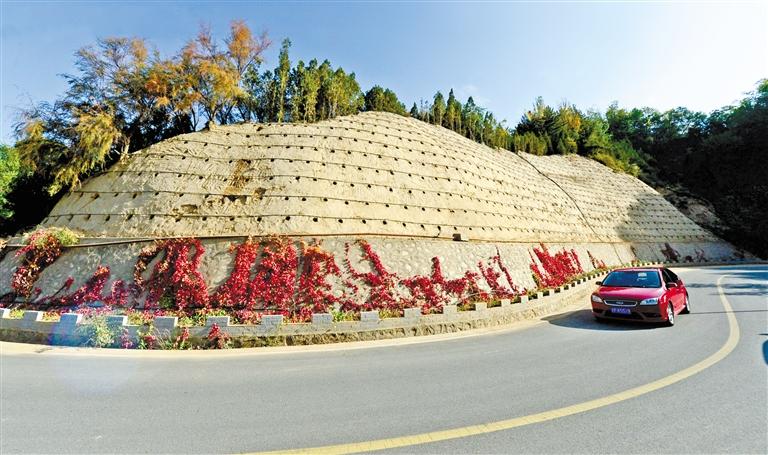 近90度陡坡上種樹！蘭州南北兩山綠化出新招