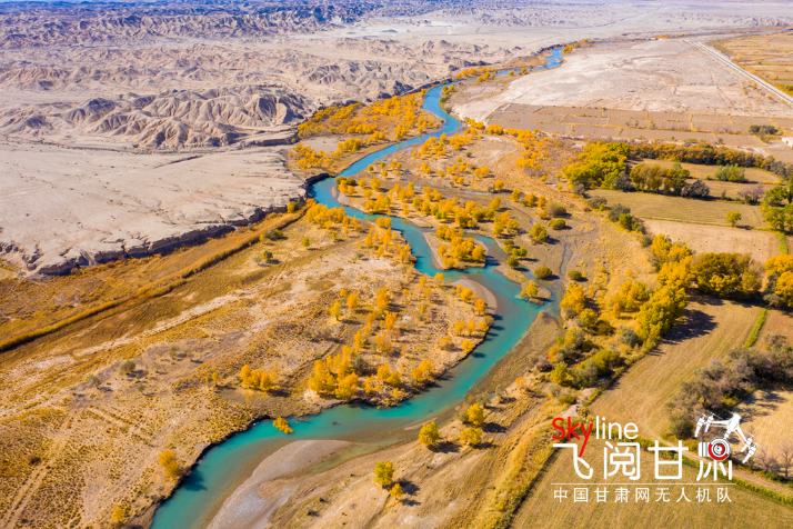 【飛閱甘肅】好美！疏勒河畔大地斑斕
