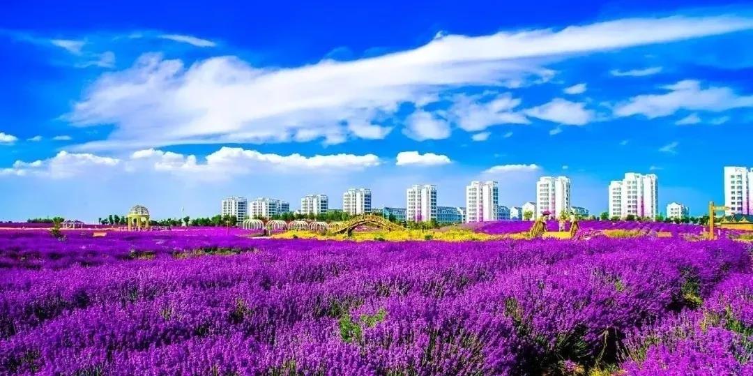 喜訊！金昌蟬聯(lián)全國文明城市