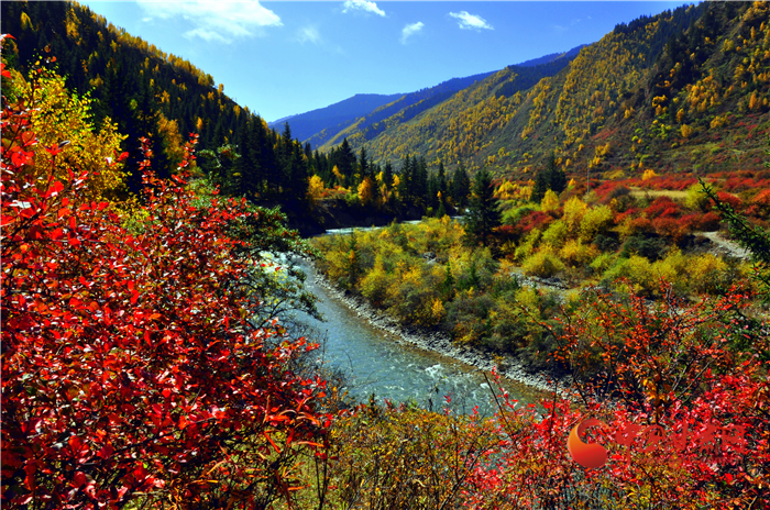 【擔(dān)使命 聚同心 促巨變 省直部門落實脫貧攻堅責(zé)任工作紀實】綠水青山戰(zhàn)貧困 甘肅省生態(tài)扶貧帶動百姓增收