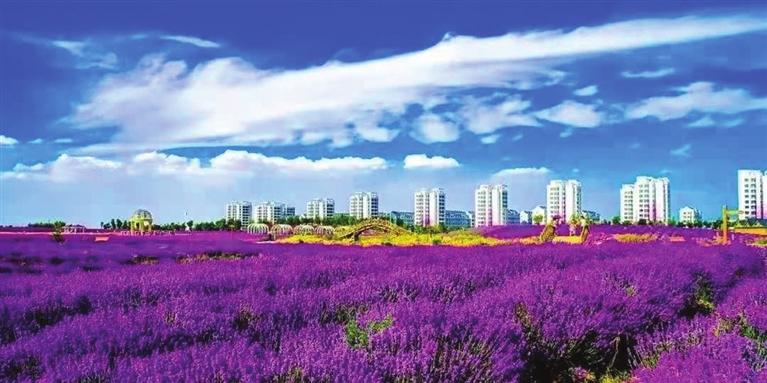 “三連冠”！金昌蟬聯(lián)全國文明城市