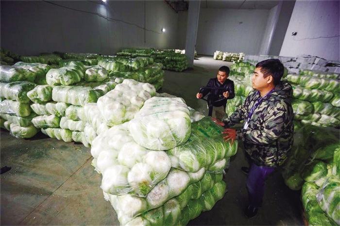 蘭州市已儲備1萬噸冬春蔬菜以耐貯存、易周轉(zhuǎn)品種為主