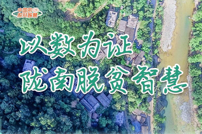 【中國的脫貧智慧】以數為證！隴南脫貧智慧來了！