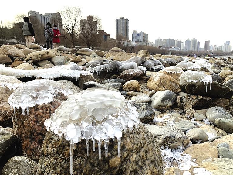 蘭州：水母上河灘？