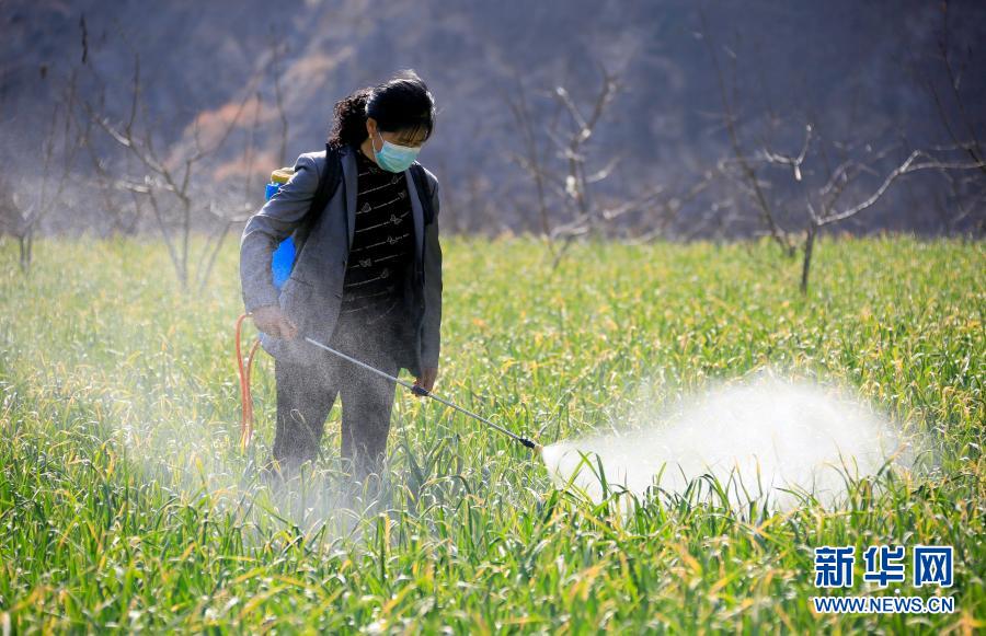 雨水時節(jié)農事忙