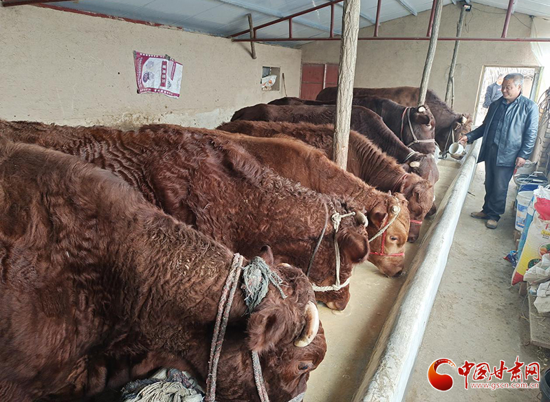 平?jīng)鰶艽ǎ骸芭！碑a(chǎn)業(yè)鋪就致富路