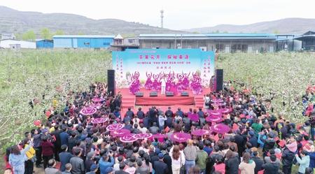 隴南禮縣舉辦“學黨史·感黨恩·賞花?！むl(xiāng)村游”活動