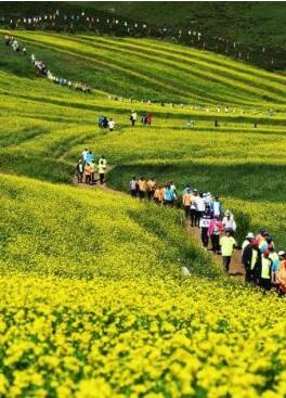 甘肅明確農(nóng)民進(jìn)城落戶:不以退出承包地、林地等為條件