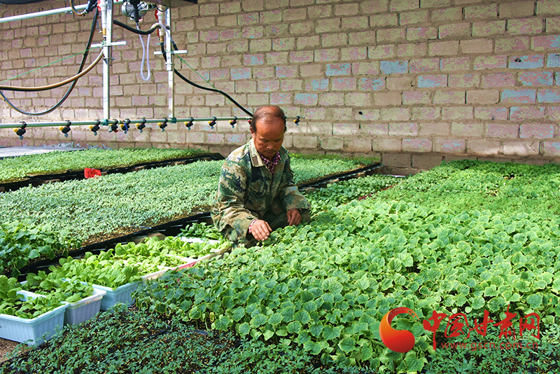 瓜州：學(xué)黨史辦實事 讓產(chǎn)業(yè)分紅資金曬在陽光下