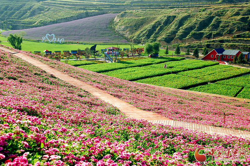 “如意甘肅鄉(xiāng)約打卡”網(wǎng)絡主題宣傳活動走進榆中李家莊田園綜合體