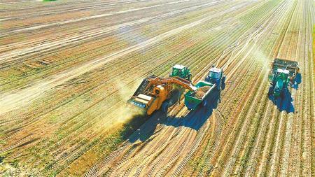 勇當現(xiàn)代農(nóng)業(yè)發(fā)展的排頭兵——甘肅農(nóng)墾黃羊河農(nóng)場高質量發(fā)展走筆