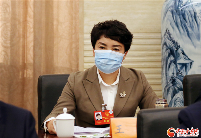 【聚焦2022甘肅兩會·代表風采】省人大代表王玲：關注農(nóng)民心聲 帶領村民致富