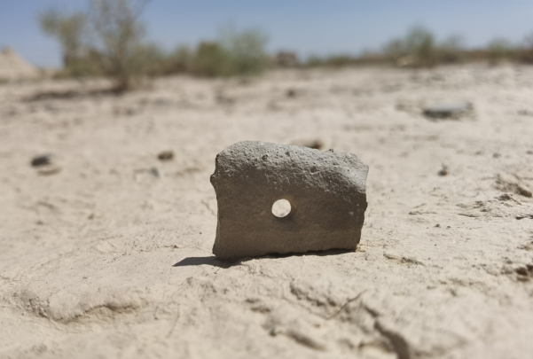 插圖1：河西走廊上遺存的古陶片。攝影：陳曉斌。拍攝日期：2020年6月。