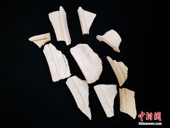 圖為靜寧縣賈河鄉(xiāng)竇坪村出土的彩陶片、紅陶片。 夏劍鋒 攝