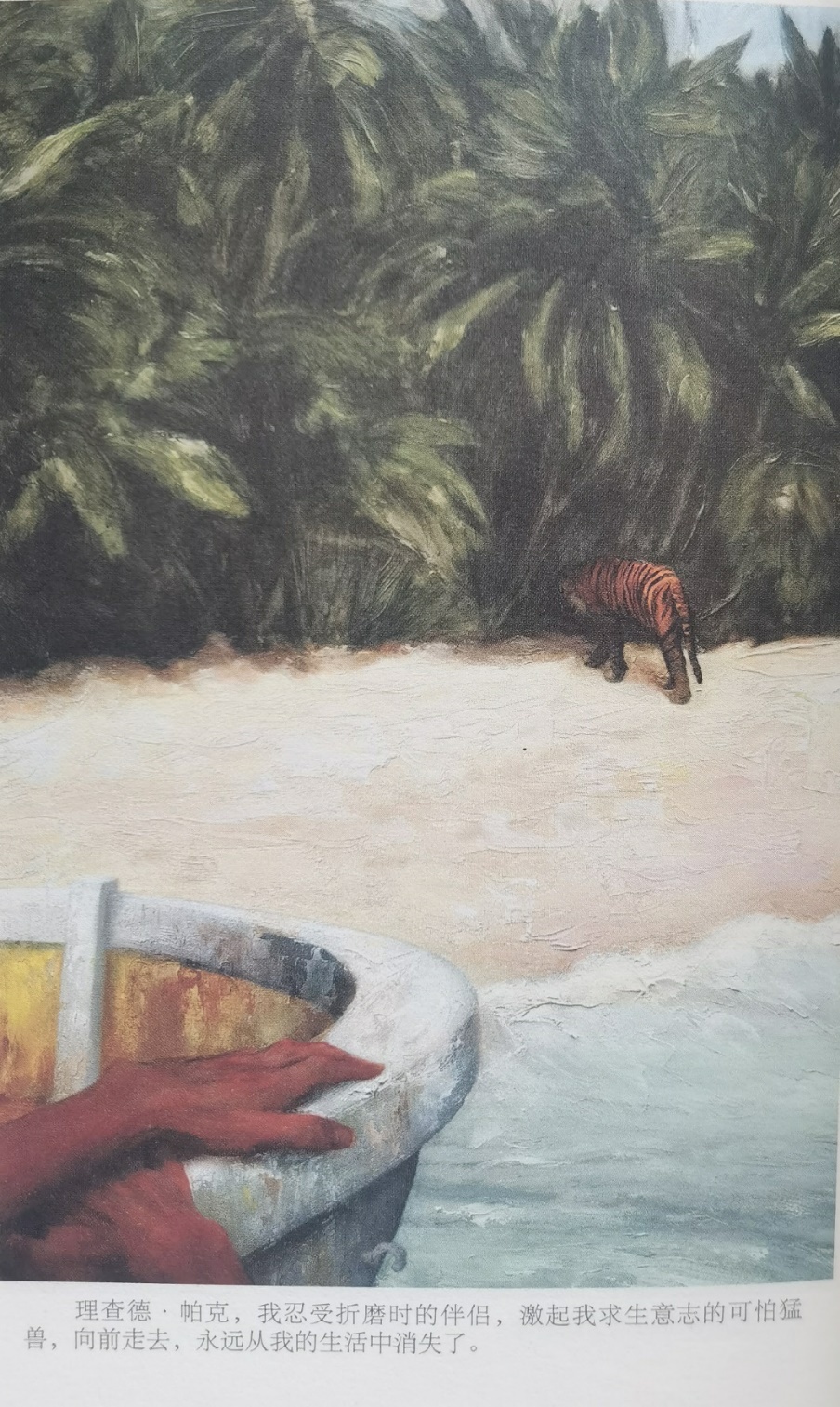 插圖3：揚(yáng)？馬特爾的小說(shuō)《少年pi的奇幻漂流》插圖