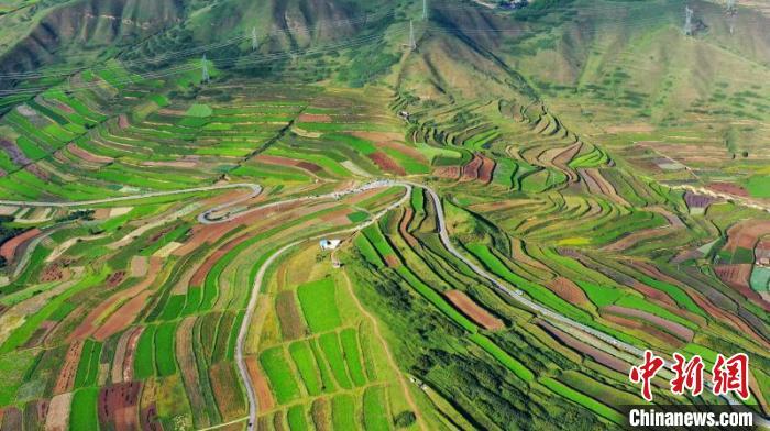 秋日里，榆中縣馬坡鄉(xiāng)千畝梯田，不同農(nóng)作物漸趨成熟，呈現(xiàn)出多種色彩，宛若大地的“調(diào)色盤”?！圆?攝