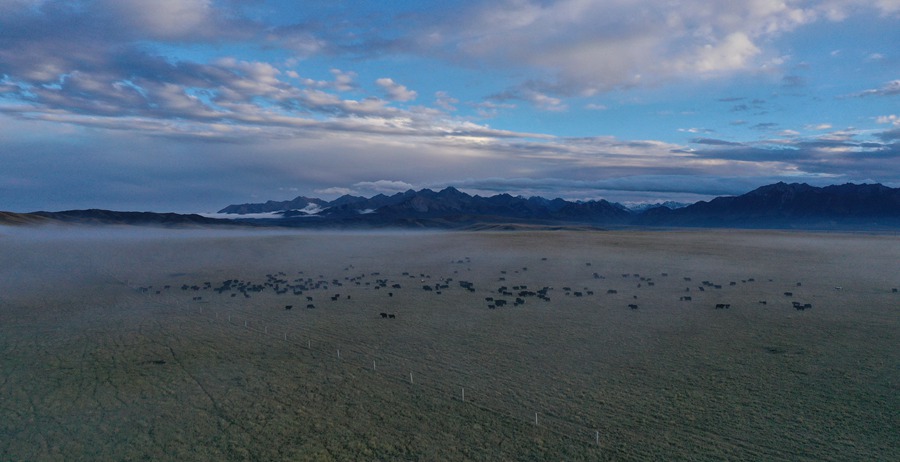 甘肅山丹馬場(chǎng)：峽谷云霧似仙境。 王超攝