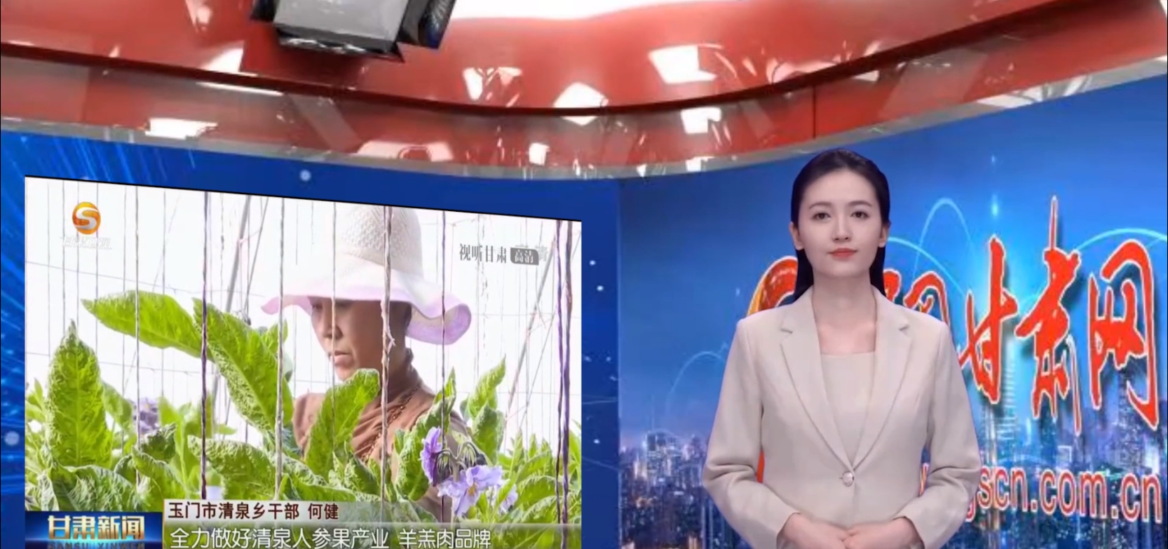 【AI小隴說·黨的二十大精神在基層】示范建設(shè)為引領(lǐng)，美麗鄉(xiāng)村畫中來