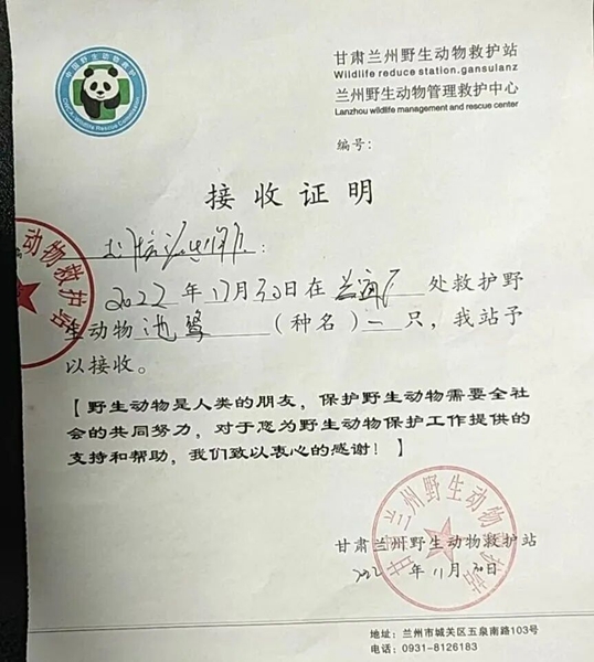 受到救助的池鷺被蘭州野生動物保護(hù)站接收。（蘭州市公安局七里河分局供圖）