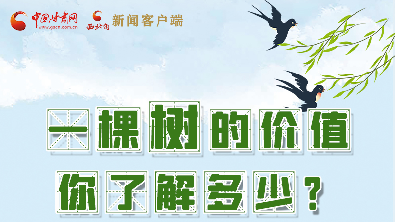 圖解|一棵樹(shù)的價(jià)值你了解多少?來(lái)看！