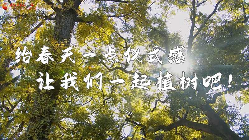 短視頻|給春天一點(diǎn)儀式感，讓我們一起植樹吧！