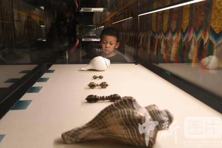 圖為展出的“白海螺法器”吸引小觀眾。 中新社記者 戴文昌 攝