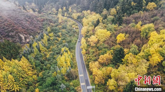 深秋，航拍位于蘭州市榆中縣的興隆山，景色如畫。金峯 攝</p>
<p>