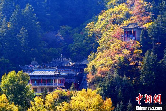 深秋，位于蘭州市榆中縣的興隆山景色如畫。宮衛(wèi)紅 攝