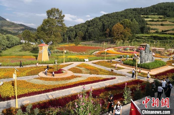 圖為航拍甘肅甘南臨潭縣八角鎮(zhèn)，花海吸引游人。(資料圖)高展 攝