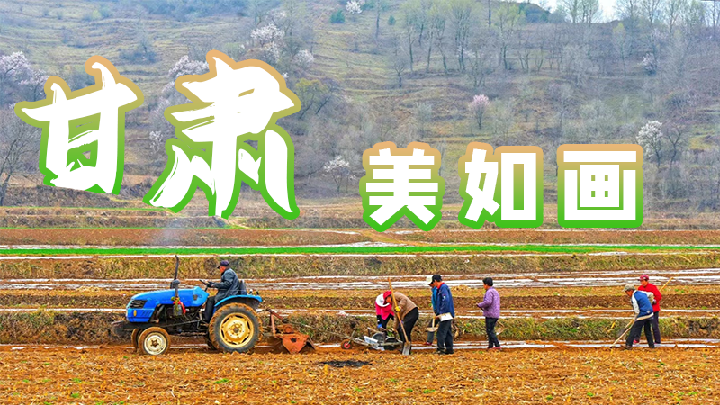 微海報(bào)|甘肅，美如畫(huà)