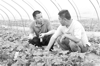 1720395363173087.jpg 55.jpg