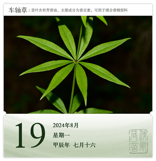 1722581560255797.png 箴歷日歷8-19.png