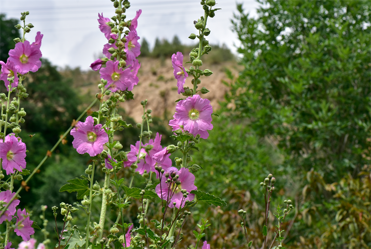 1722582344789904.png 27-2.png