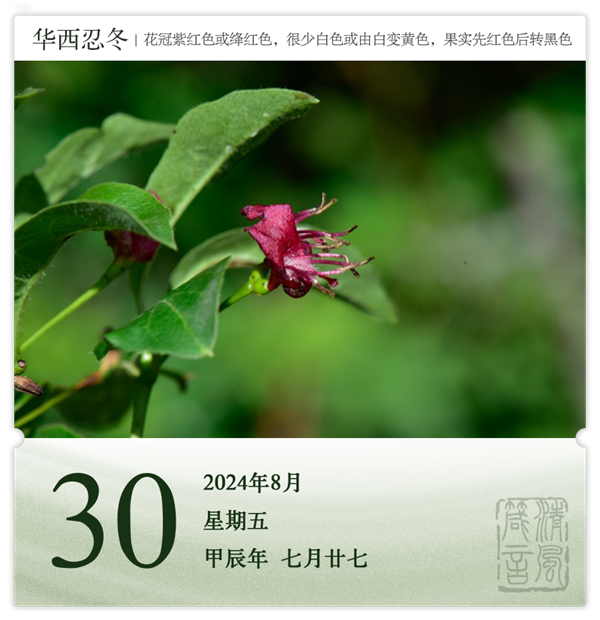 1722582589646548.png 箴歷日歷8-30.png