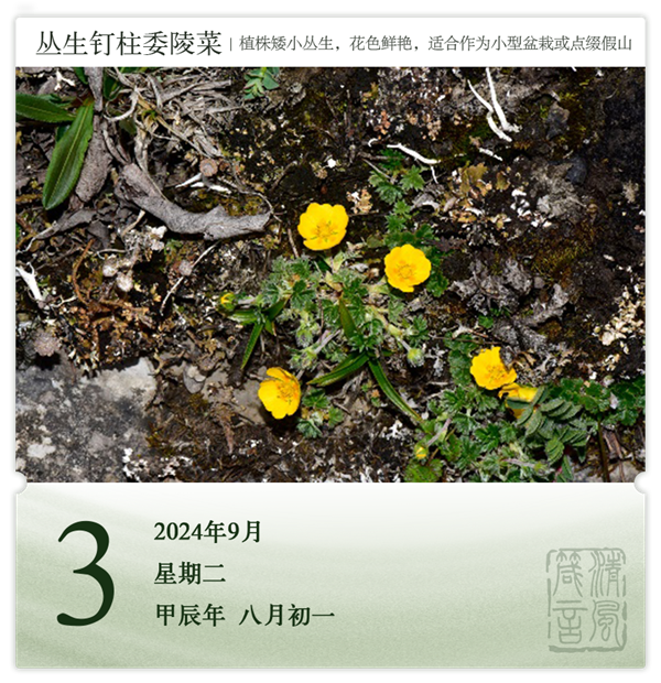 1725266464761626.png 箴歷日歷9-3.png