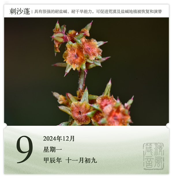 1732869058616689.png 箴歷日歷12-9.png