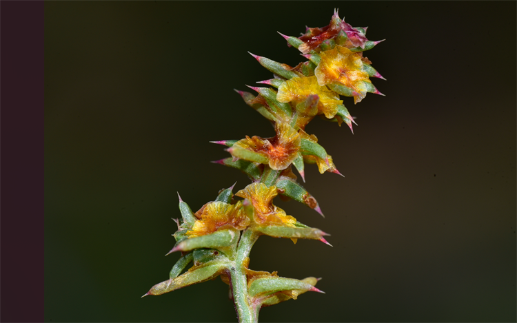 1732869148511725.png 9-2.png