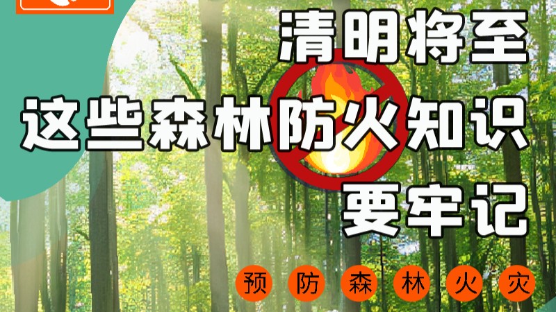 【甘快看】圖解|緊繃“安全弦”！清明，這些森林防火知識要牢記