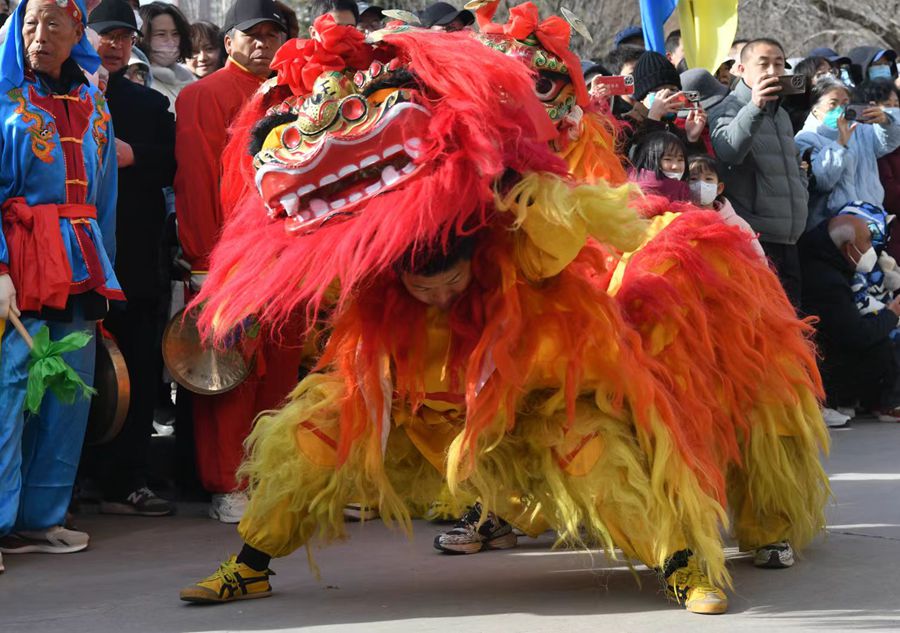 蘭州北獅表演現場。受訪者供圖